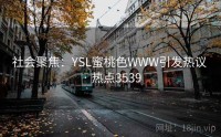社会聚焦：YSL蜜桃色WWW引发热议 · 热点3539