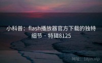 小科普：flash播放器官方下载的独特细节 · 特辑8125