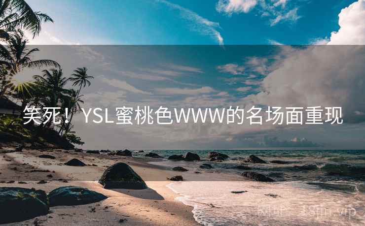 笑死!YSL蜜桃色WWW的名场面重现 笑死!YSL蜜桃色WWW的名场面重现