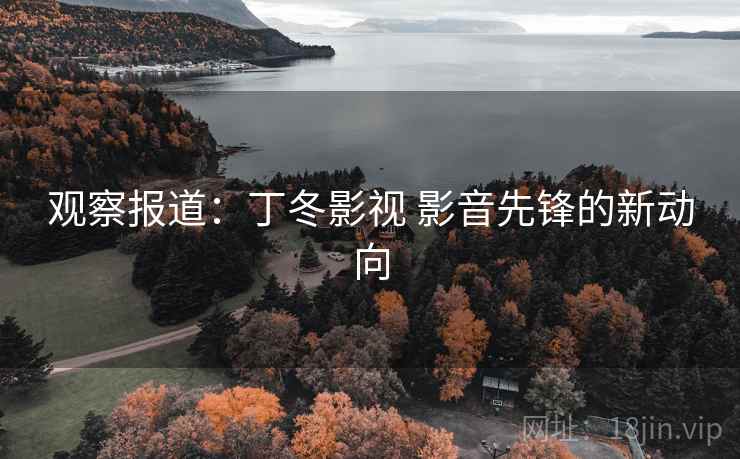 观察报道：丁冬影视 影音先锋的新动向
